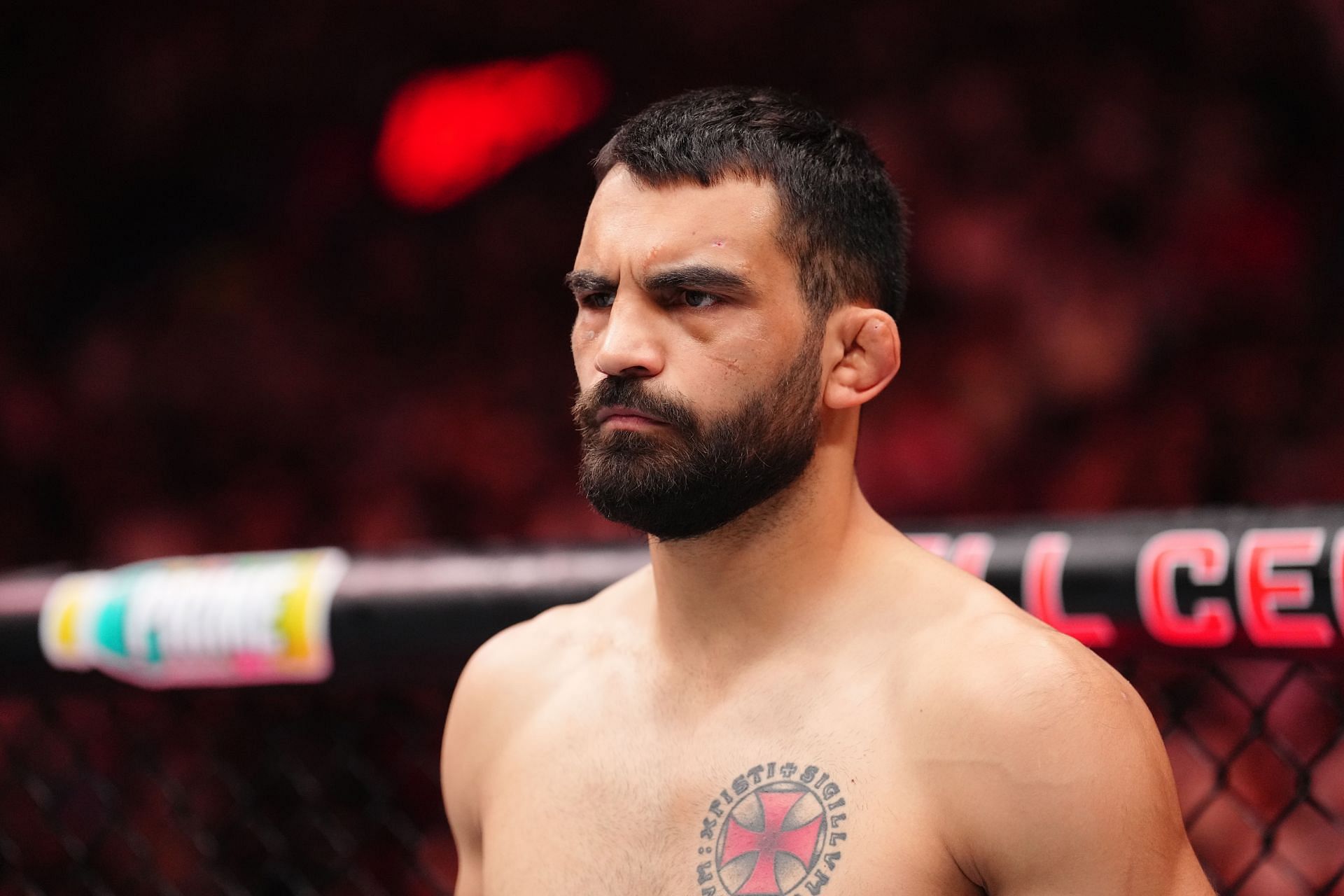UFC 315: Saint Denis v Prepolec